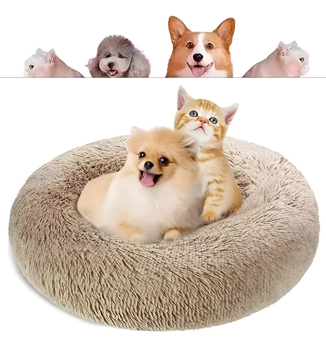 Cama Pet Donut Pelúcia Redonda GG 70cm Fluffie - Análise Completa